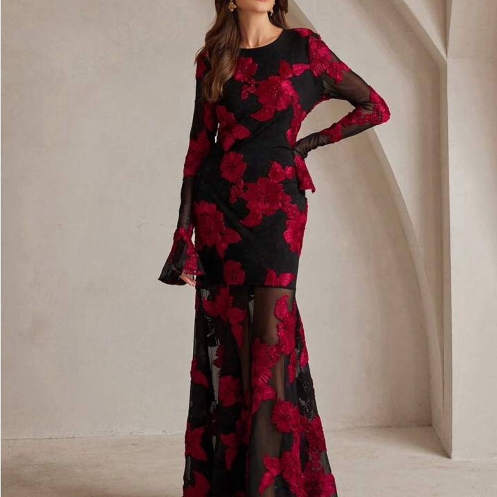 Anewsta Elegant Black and Red Floral Dress - Picture 4 of 14